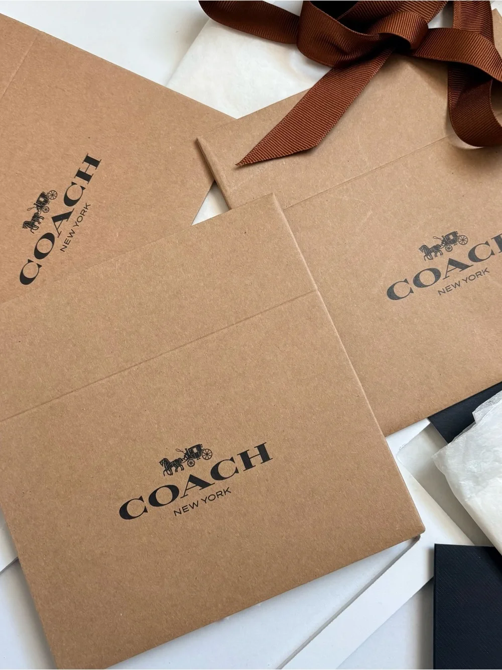 COACH Brown Kraft Gift Bag with Black Box Bundle 3